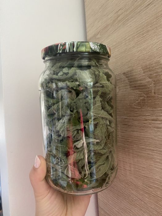 Mięta suszona herbata miętowa