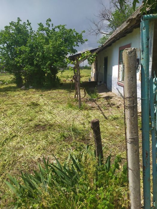 Земля (с Домом в подарок) Собственник, обмен на Бус