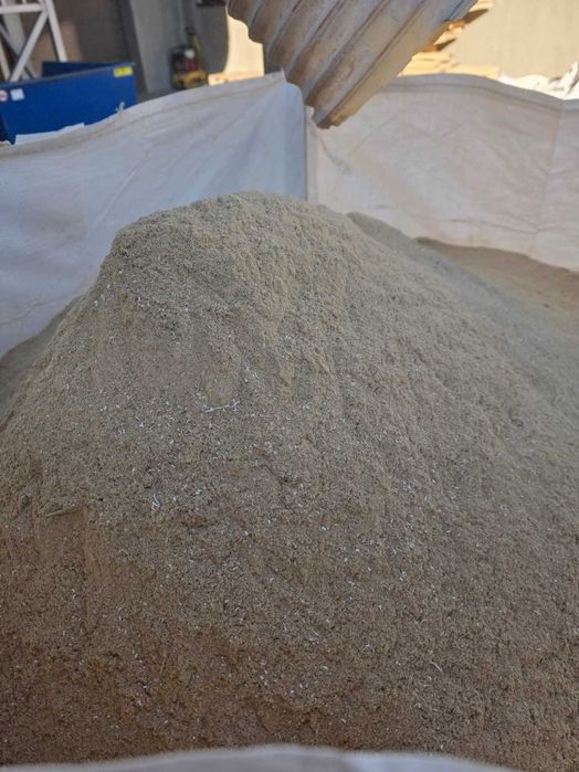 trociny troty pył suche