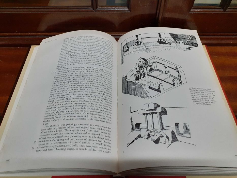 Livro The neolithic of the near East - the world of archaelogy