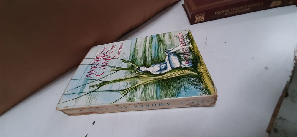 Livros vários  literatura Portuguesa e nao só… so vendo