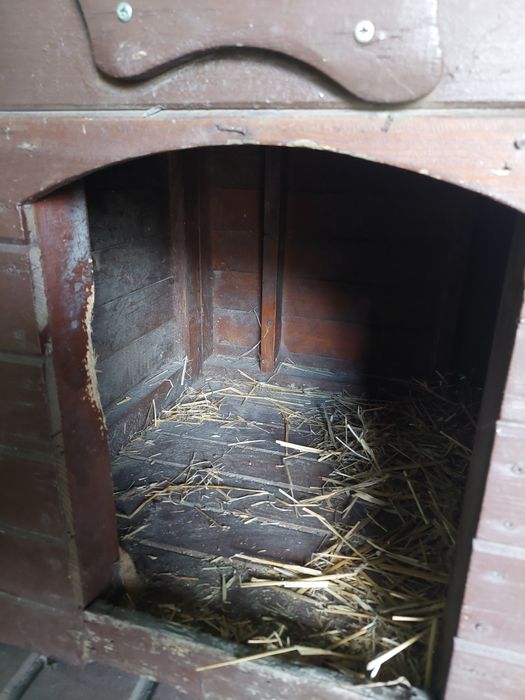 Buda dla psa 72cmdł.