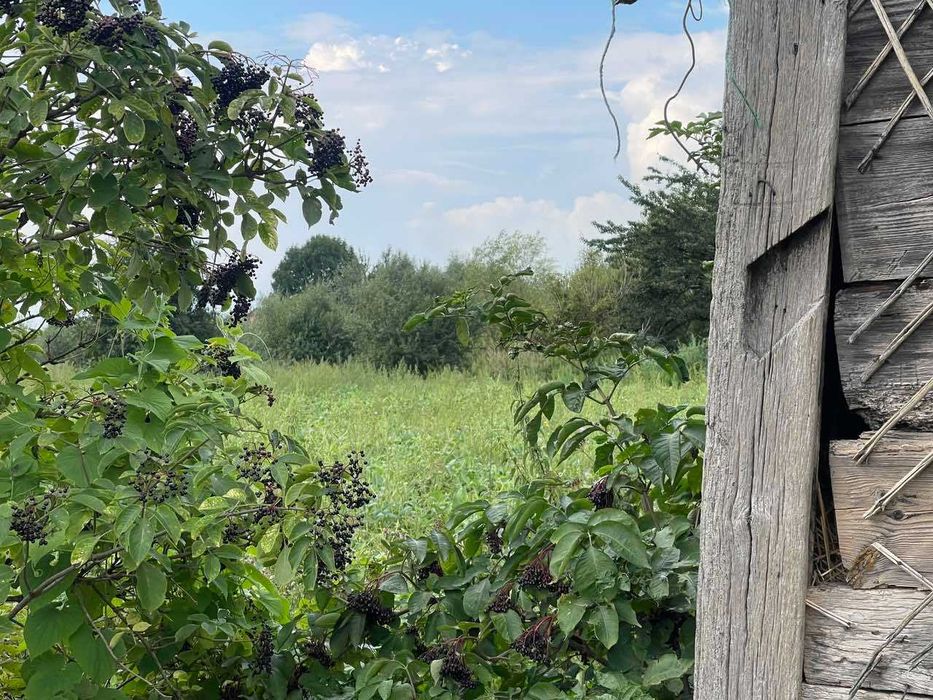 Продаж земельної ділянки під забудову с. Горпин Кам'янка-Бузький район
