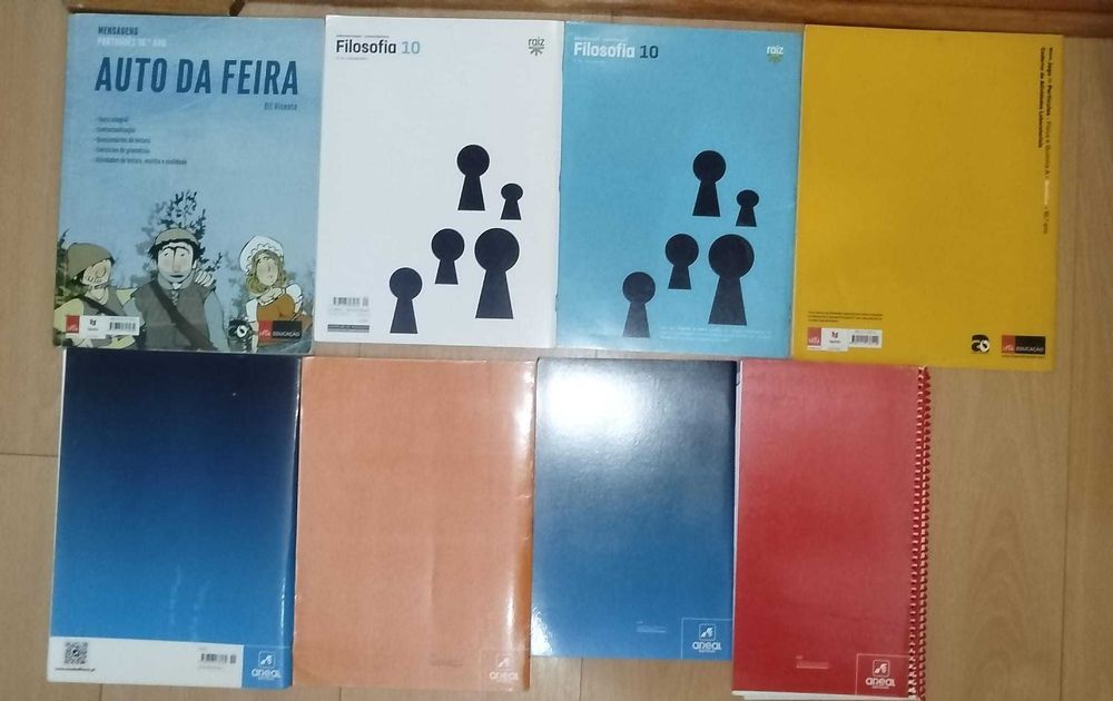 Cadernos de atividade 10º Ano diversas disciplinas