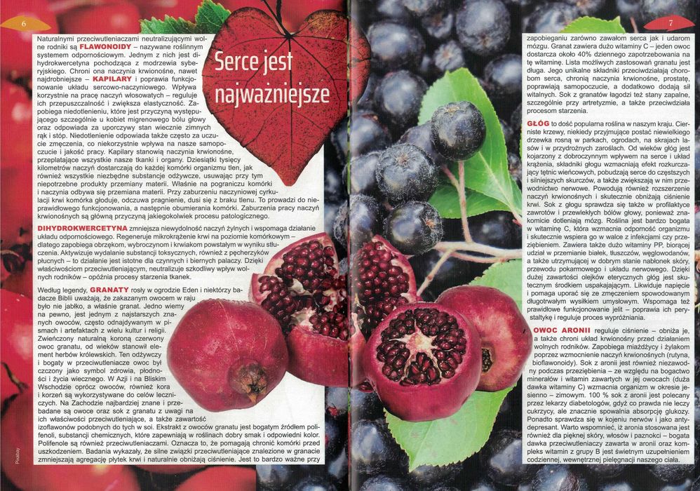 Medycyna i zdrowie poradnik STYL