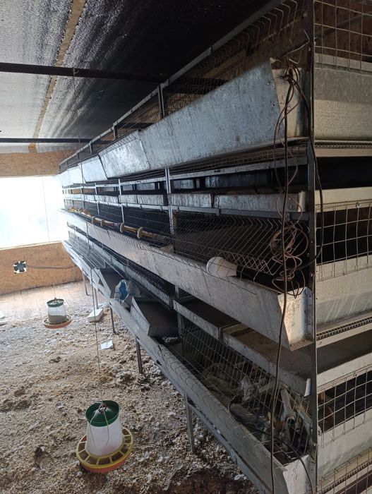 Клітки для бройлеров