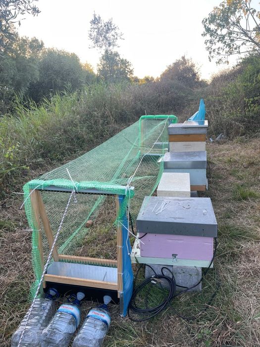 NOVA GERAÇÃO Placas Mata Vespa Velutina - Vespa asiática