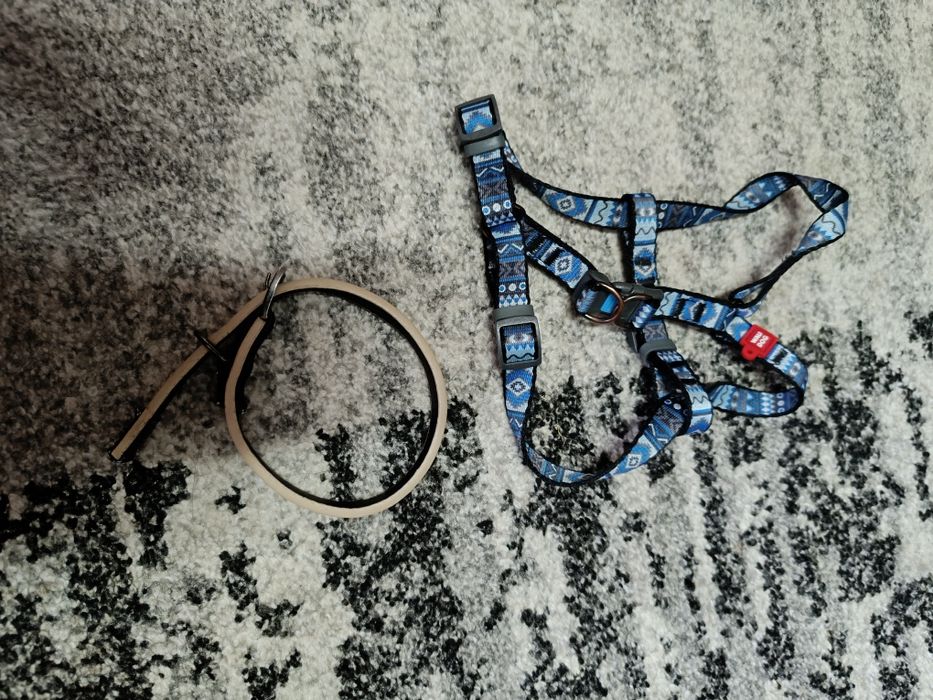 Речі  і амуніція для песика