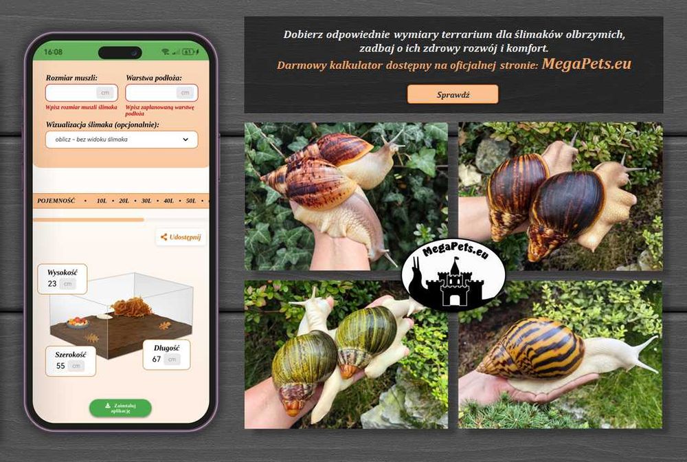 Zestaw 5 + 1 GRATIS! Achatina Lissachatina Archachatina Suplementy