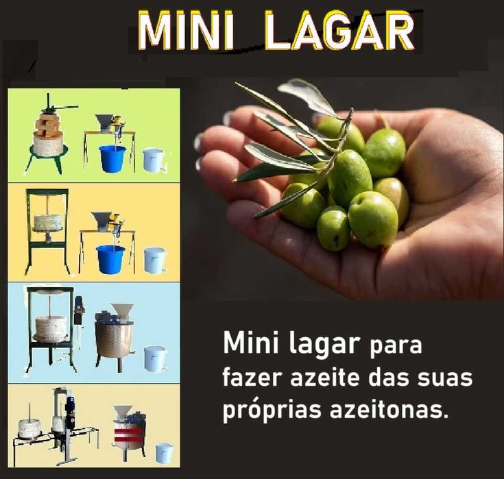 lagar Mini de azeite para fazer azeite em casa.