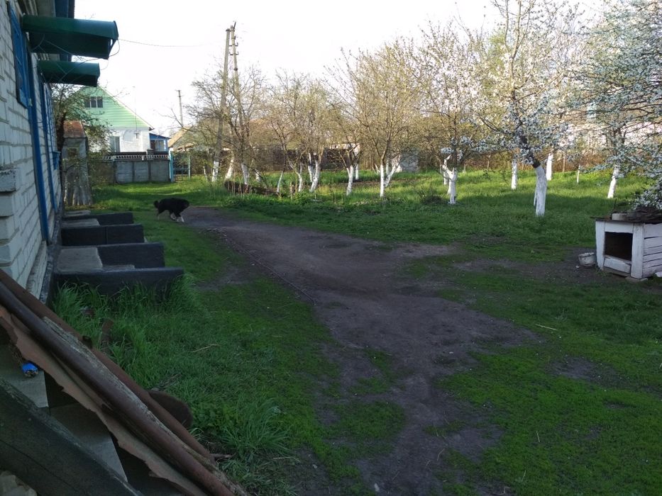 Продам будинок село Мовчанівка Бердичівський район