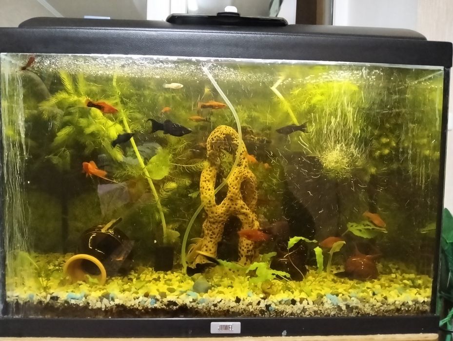 Продам акваріум.