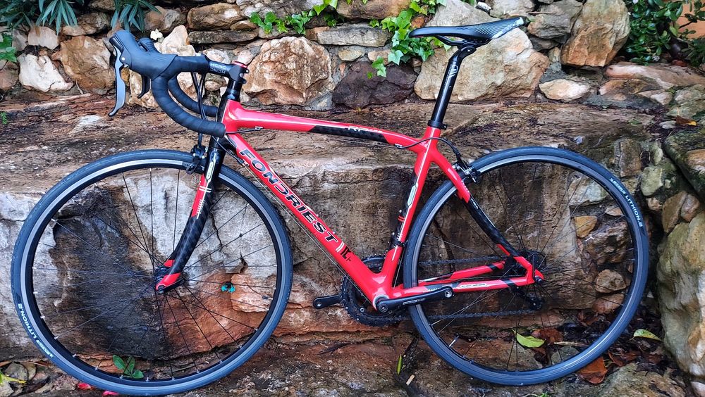 Carrera e Fondriest Tree carbono oportunidades t54 e t52