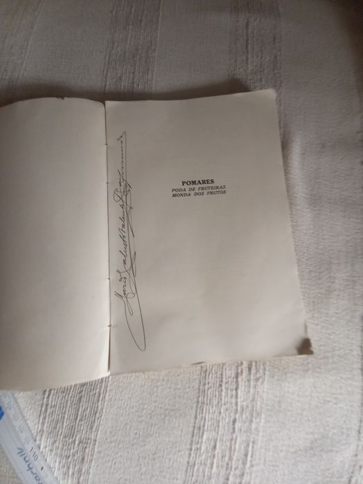 Orchards: Pruning Fruit Trees and Fruit Thinning by Vieira Natividade64285477063682122