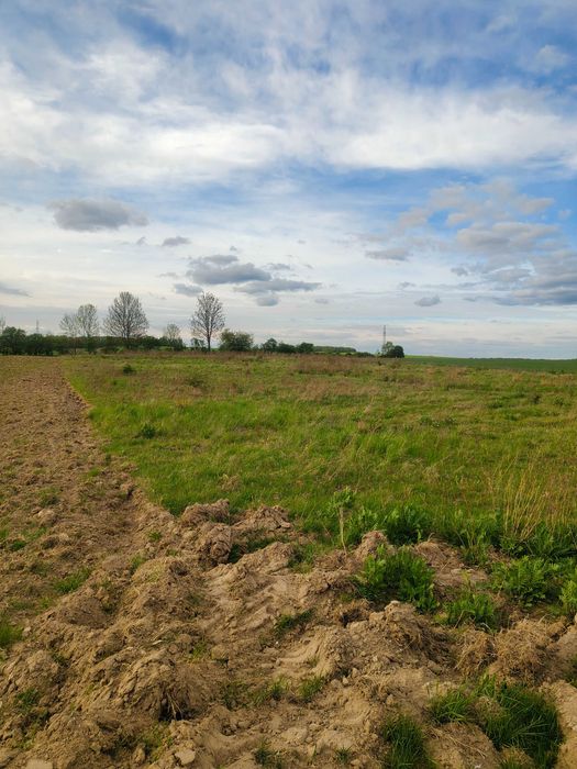 Działka rolna 0,72 ha Jabłonowo k. Mirosławca – klasa RIV, bez KOWR!