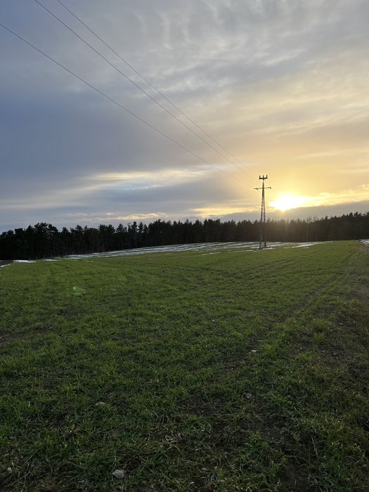 Sprzedm działkę w miejscowości Rajkowy przy lesie - Widok 4