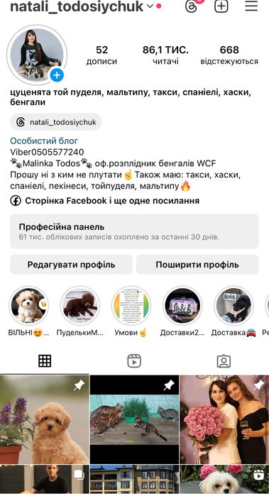 Хлопчик мікро мальтіпу. 1.5кг буде дорослим