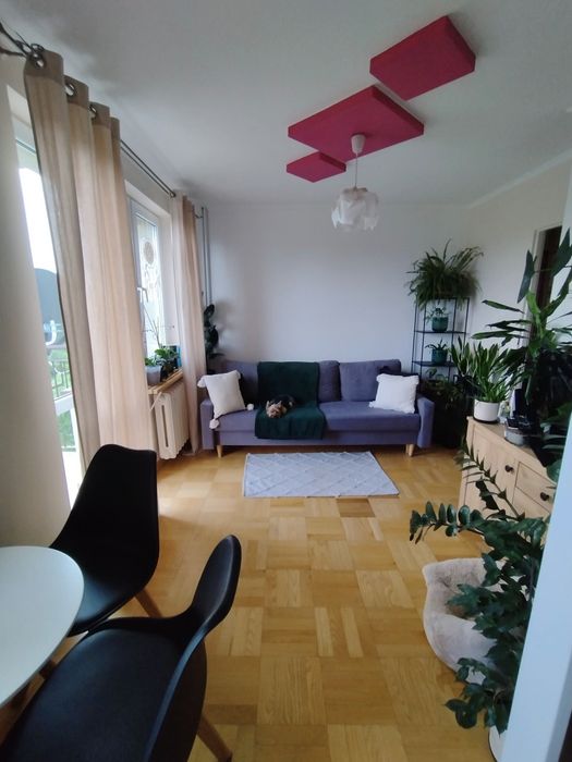 Mieszkanie do wynajęcia, 2 pokoje, ul. Słoneczna, niski czynsz