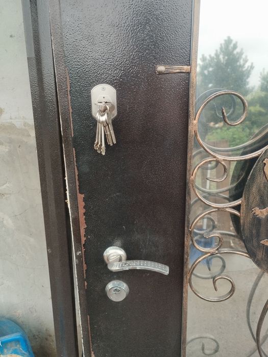 Двері вхідні желізні