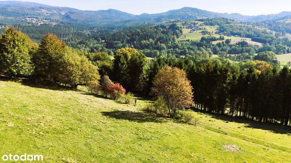 Istebna | 4000 m² | Złoty Groń | REZERWACJA