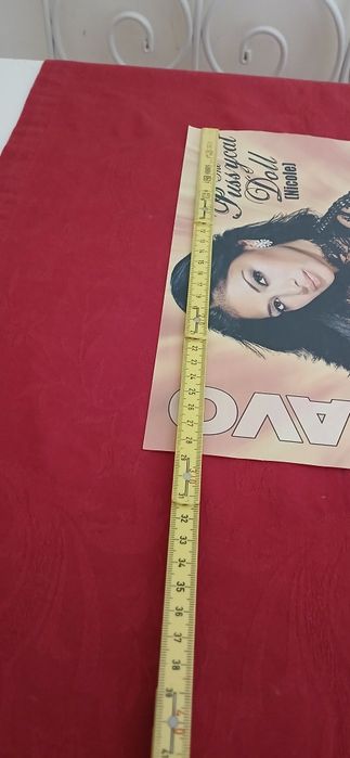 Poster Nicole - The Pussycat Doll