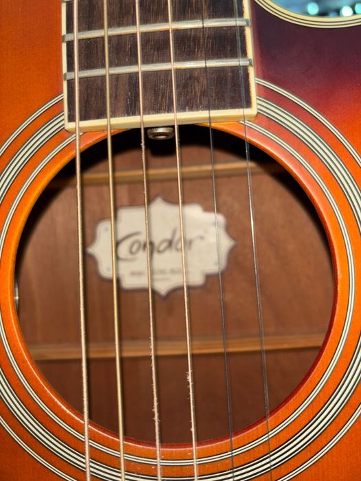 Viola eletrica condor