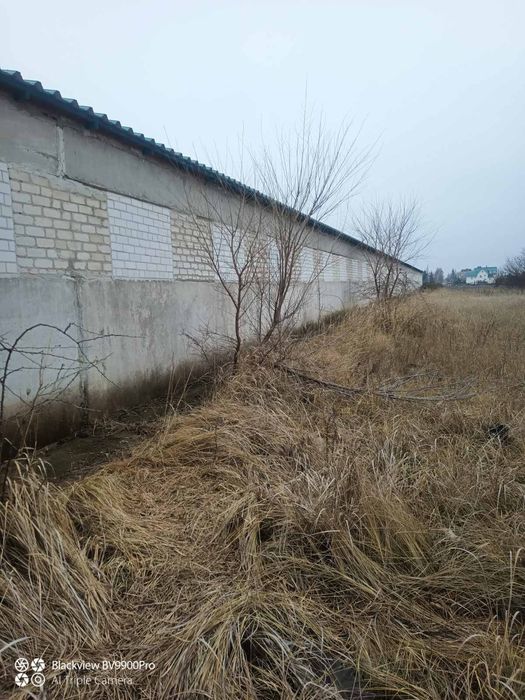 Клюшечник 18х96 для птичников, животноводства, склада.