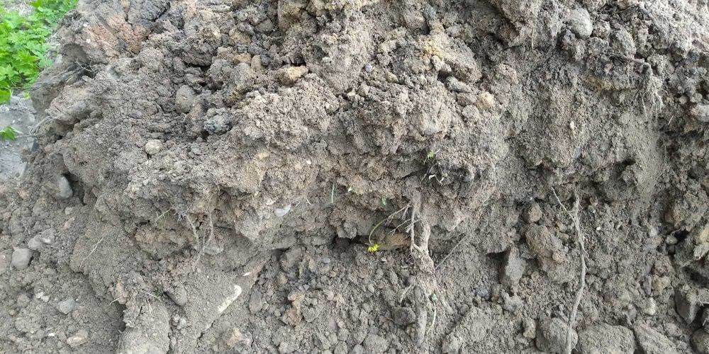 Oddam ziemię z wykopu stawu