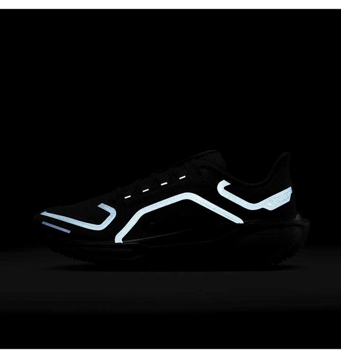 Кросівки для бігу чоловічі Nike Air Zoom Pegasus 41 Gore-Tex (FQ1356-0