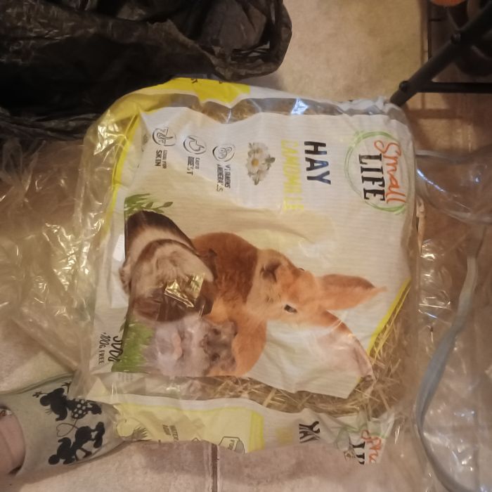 Vários acessórios de hamster