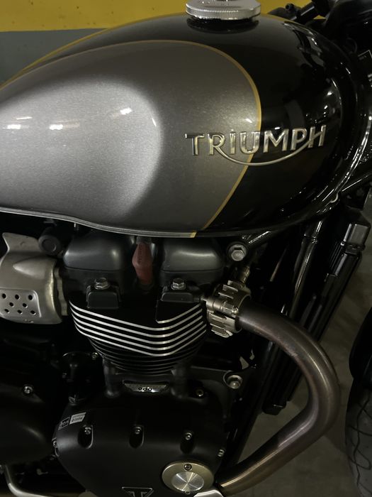 Triumph Street Cup 900