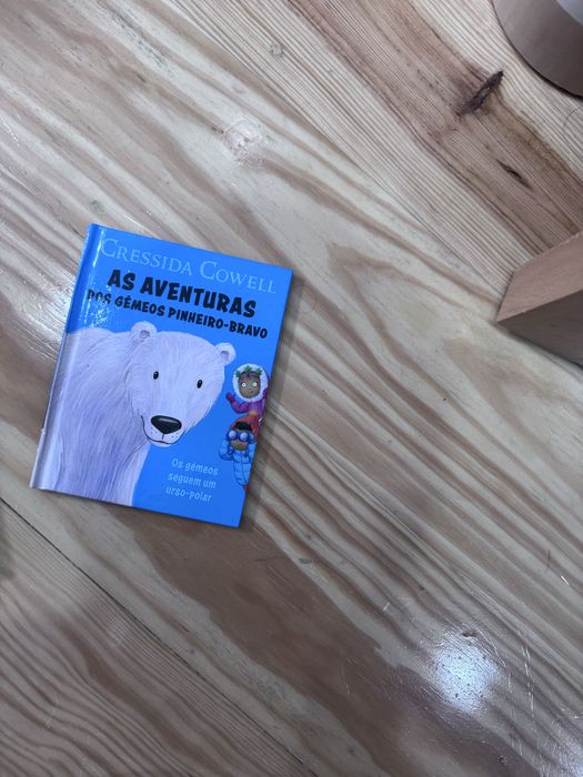 Livro As aventuras dos gémeos