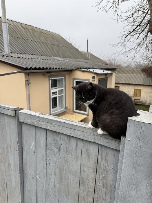 Частина будинку, район 8 школи