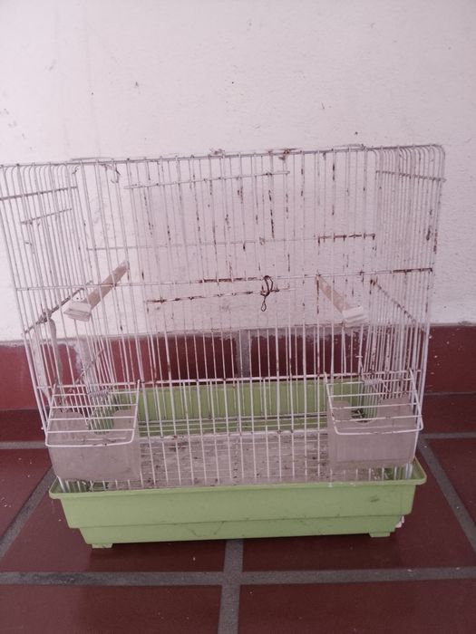 vendo duas gaiolas uma média e uma pequena