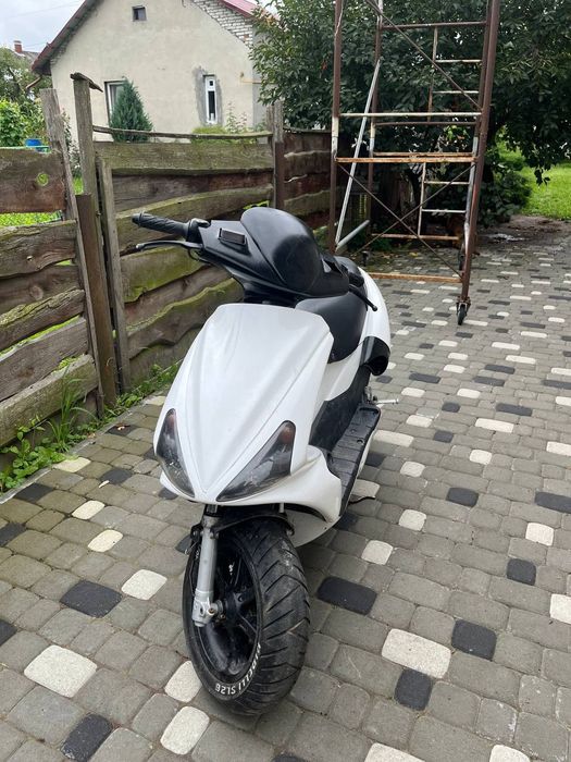 Benelli 491 бенеллі