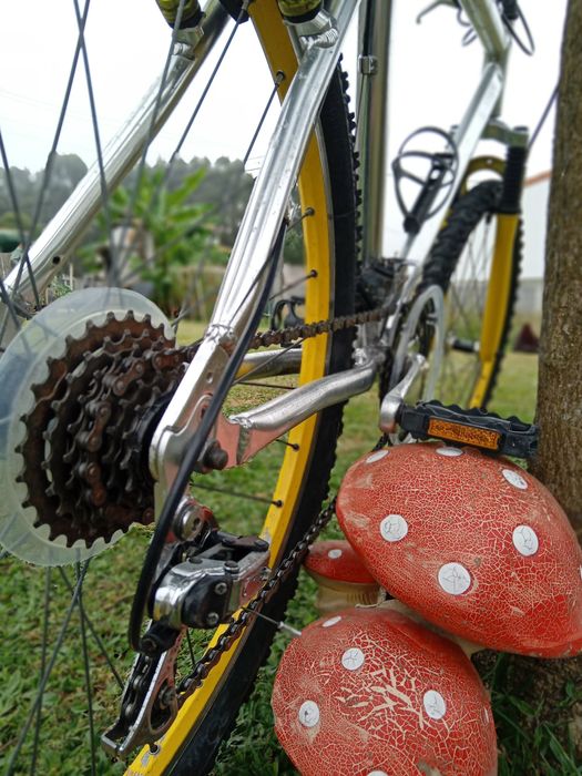 Bike de btt anos 2000