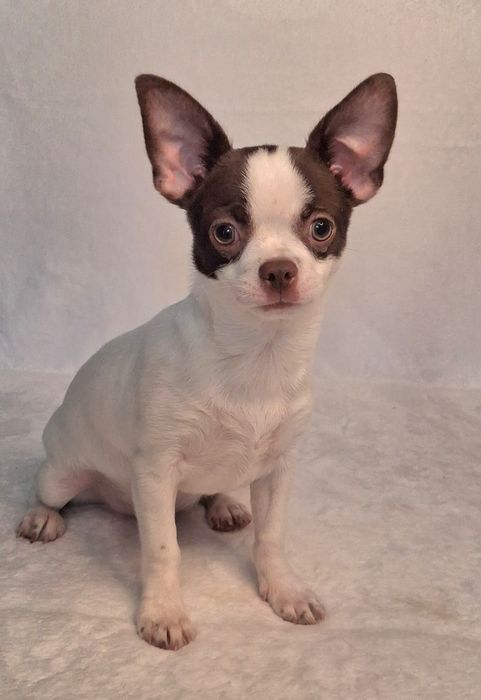 Крутезний хлопчик