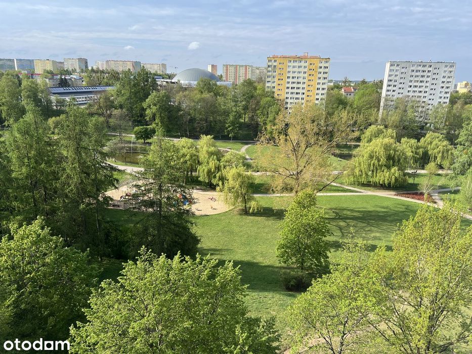 3-pokojowe mieszkanie z balkonem i windą na Pojezierzu