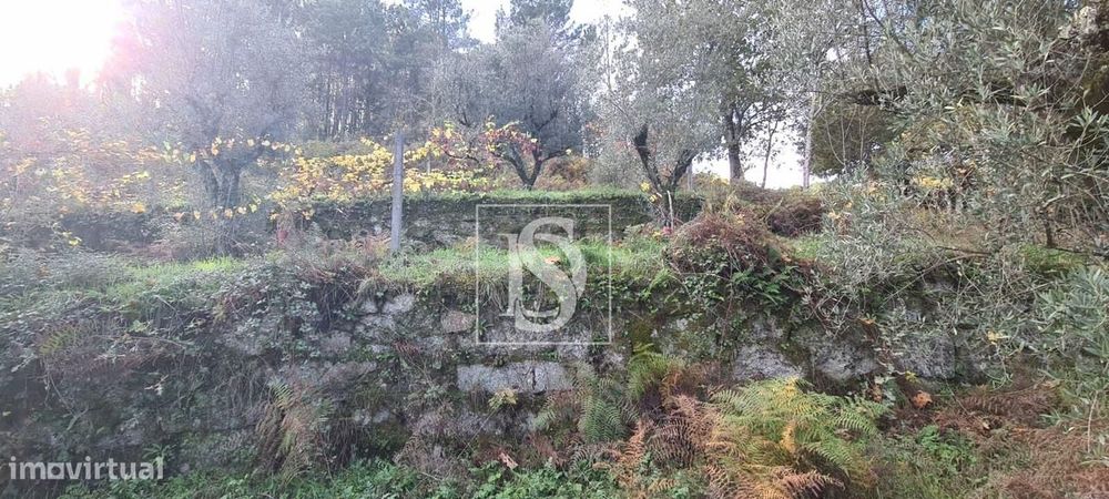 Terreno  Venda em Candemil,Amarante