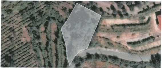 Quinta com Elevado Potencial Agrícola e Turístico