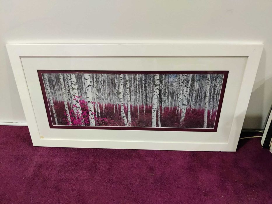 Quadro com fotografia de bosque de bétulas, moldura branca