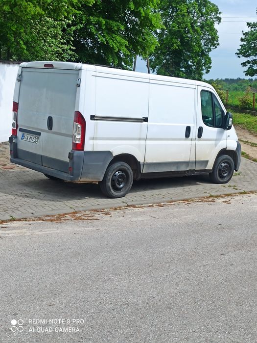 Bus na sprzedarz