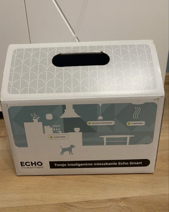 Inteligentny system echo