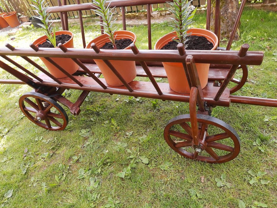 Wóz Drabiniasty Na Stół Wiejski, Na WESELA, IMPREZY, Ozdoba do ogrodów