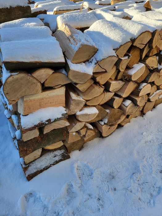 Drewno drzewo opałowe kominkowe