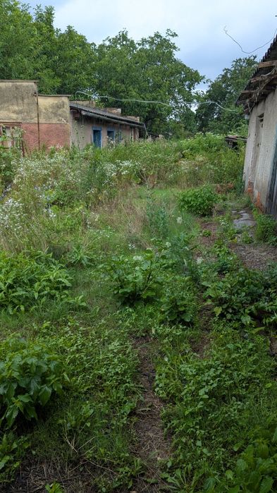 Продаж будинку в с.Тийглаш