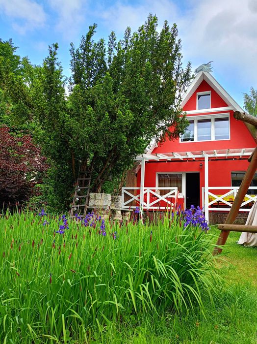 Dom w Jabłonkach,kominek,bez turystów,PsioLubny,Kaszuby,Sznurki Jakuzi