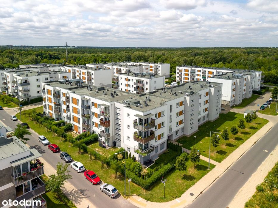 Strzeszyn, 2 pokoje z niezależną kuchnią, winda, blok z 2019 r.