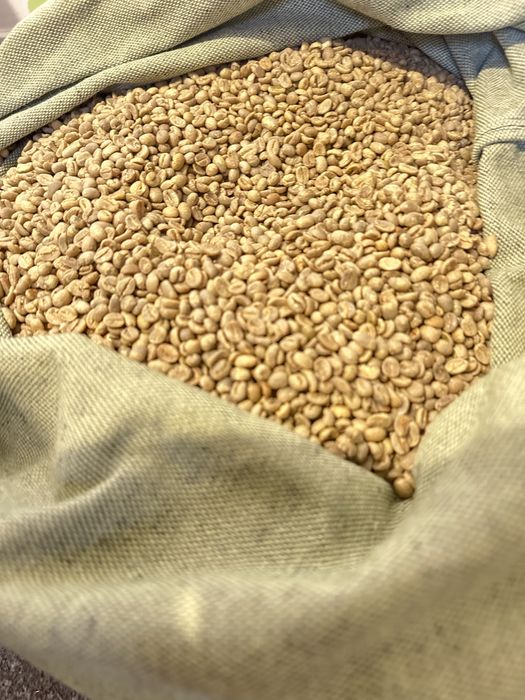 Кава в зернах Арабіка з Бразилії | Мішки від 15 до 50 кг | ОПТ