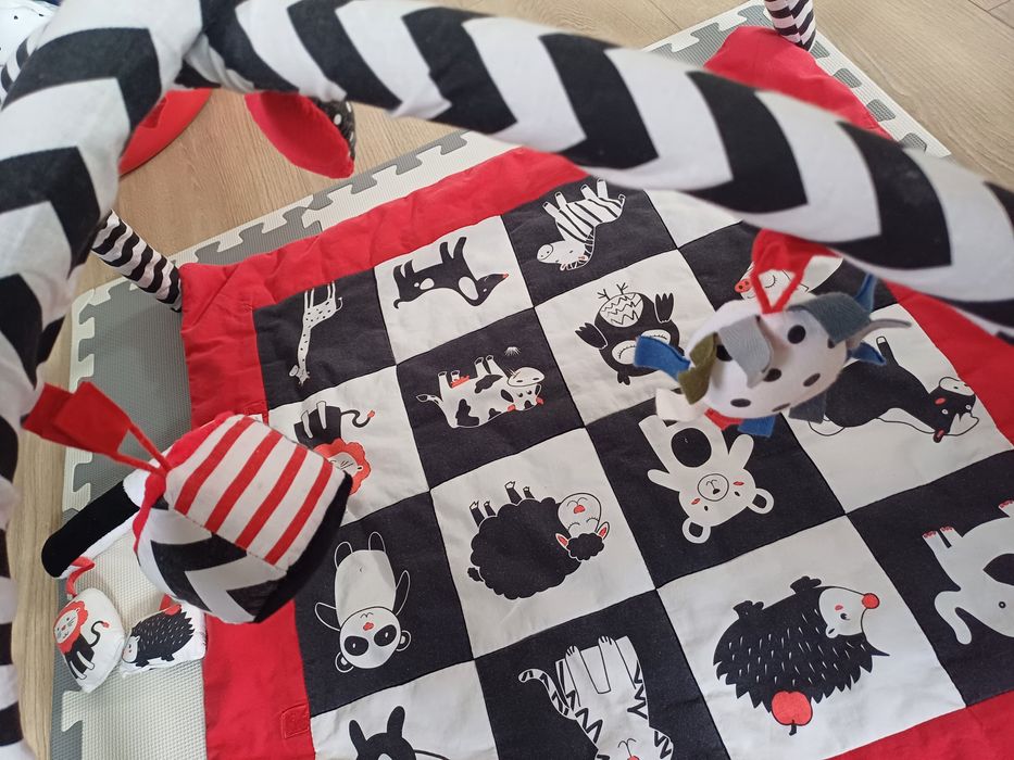 Mata kontrastowa babysenses